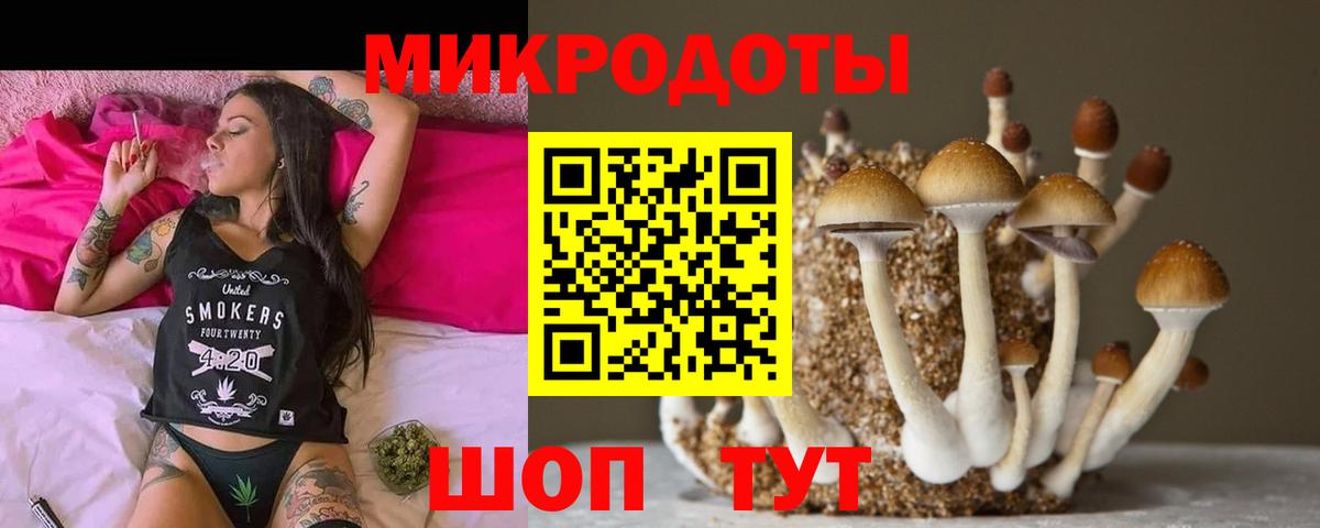 Псилоцибиновые грибы мухоморы  Вход с VPN  Псилоцибиновые грибы мицелий  Благодарный 